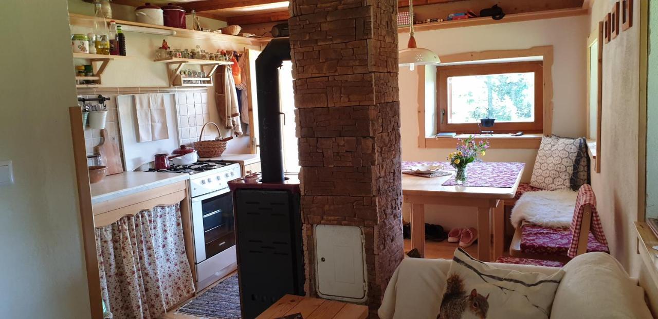 Mountain Eco Chalet Konjska Dolina On 1400 M Asl -Near Pokljuka Srednja Vas v Bohinju Kültér fotó