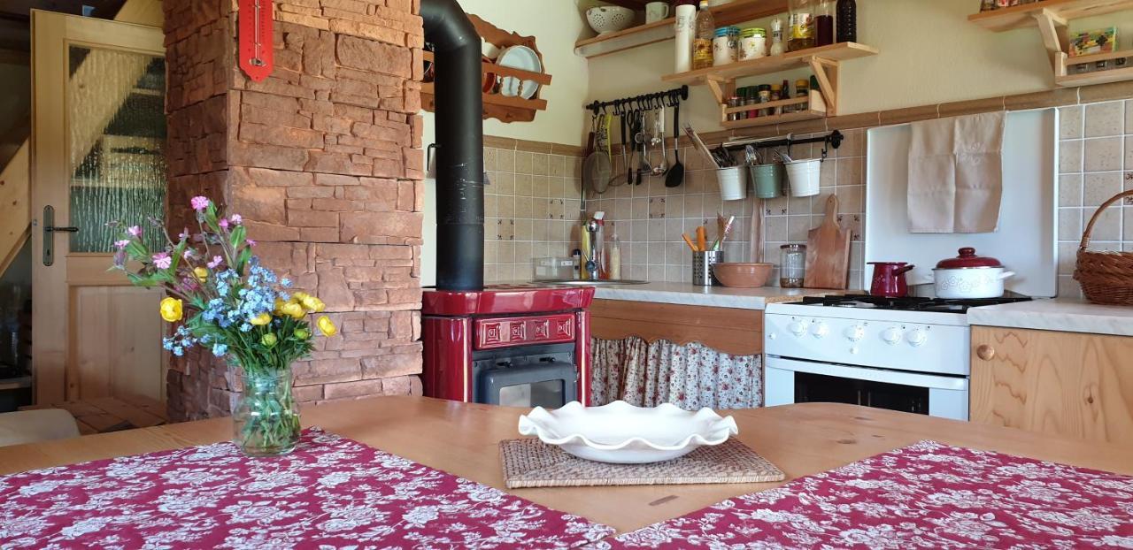 Mountain Eco Chalet Konjska Dolina On 1400 M Asl -Near Pokljuka Srednja Vas v Bohinju Kültér fotó