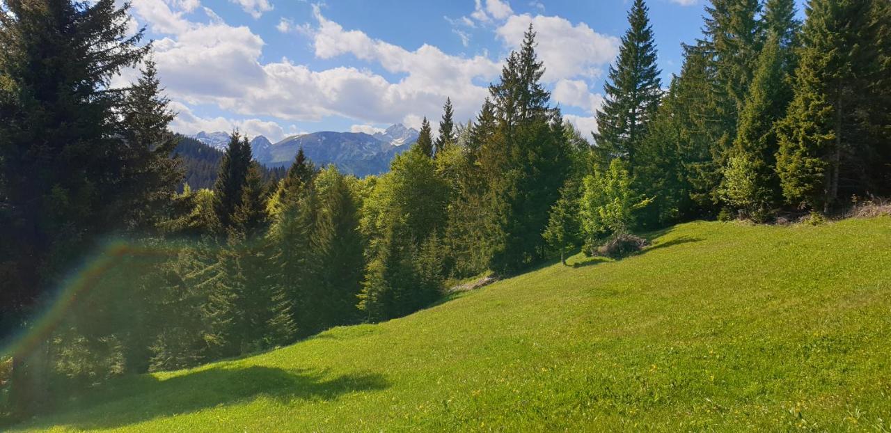 Mountain Eco Chalet Konjska Dolina On 1400 M Asl -Near Pokljuka Srednja Vas v Bohinju Kültér fotó
