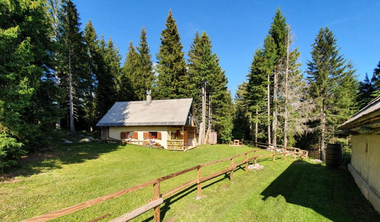 Mountain Eco Chalet Konjska Dolina On 1400 M Asl -Near Pokljuka Srednja Vas v Bohinju Kültér fotó
